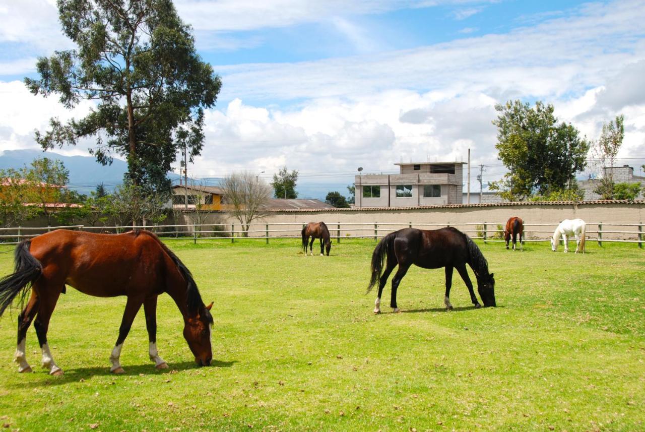 Hacienda Cusin Hotell Otavalo Exteriör bild